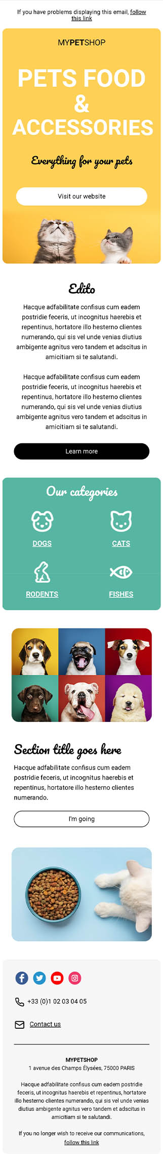 Templates Emailing Pet Store Sarbacane